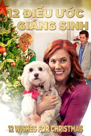 12 Điều Ước Giáng Sinh (12 Wishes For Christmas) [2011]