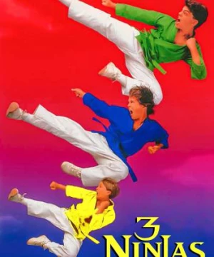 3 Ninjas Siêu Quậy (3 Ninjas Kick Back) [1994]