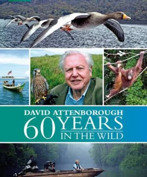 60 Năm Trong Hoang Dã (Attenborough: 60 Years In The Wild) [2012]