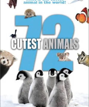 72 loài động vật dễ thương nhất (72 Cutest Animals) [2016]