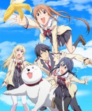 Aho Girl (AHO-GIRL, Ahogaru: Clueless Girl, Dummy Girl) [2017]