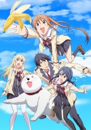 Aho Girl (AHO-GIRL, Ahogaru: Clueless Girl, Dummy Girl) [2017]