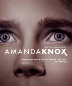 Amanda Knox (Amanda Knox) [2016]