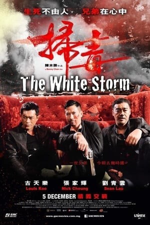 Bão Trắng (Trận Chiến Á Phiện) (掃毒 - The White Storm) [2013]