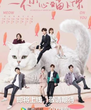 Bất Cẩn Meow Phải Anh (Accidentally Meow On You) [2022]