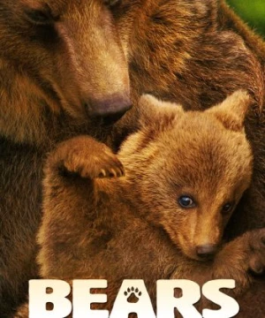 Bears (Bears) [2014]