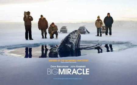 Big Miracle