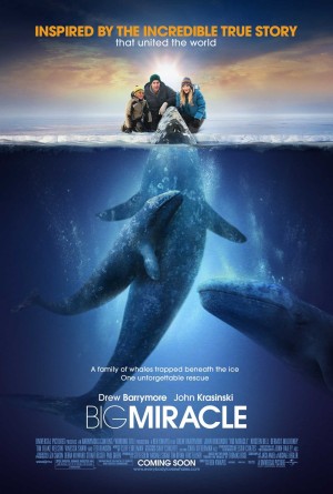 Big Miracle (Phép Màu) [2011]