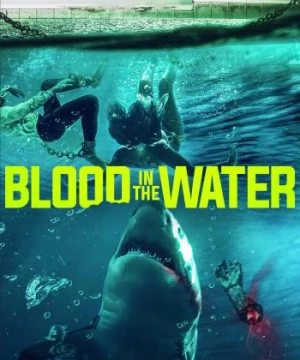 Cá Mập Dưới Nước (Blood in the Water) [2022]