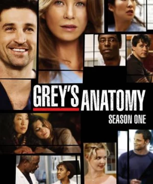 Ca Phẫu Thuật Của Grey (Phần 1) (Grey's Anatomy (Season 1)) [2005]