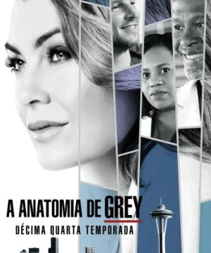 Ca Phẫu Thuật Của Grey (Phần 14) (Grey's Anatomy (Season 14)) [2017]