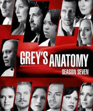 Ca Phẫu Thuật Của Grey (Phần 7) (Grey's Anatomy (Season 7)) [2010]