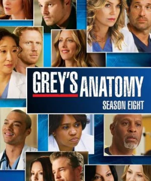 Ca Phẫu Thuật Của Grey (Phần 8) (Grey's Anatomy (Season 8)) [2011]