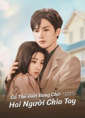 Cả Thế Giới Chờ Hai Người Chia Tay (To Ship Someone) [2023]