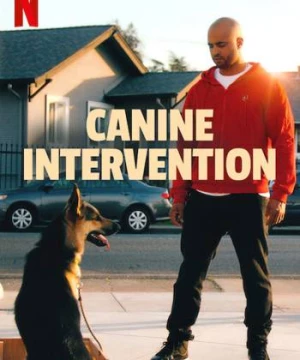 Cali K9: Trường huấn khuyển (Canine Intervention) [2021]