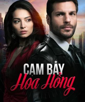 Cạm Bẫy Hoa Hồng (New Life) [2020]