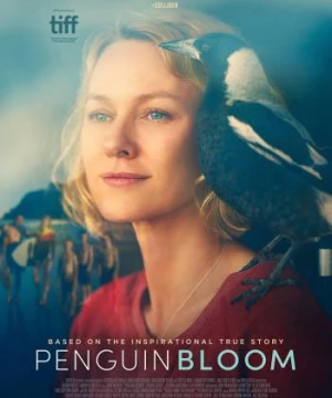 Cánh Cụt Nhà Bloom (Penguin Bloom) [2021]