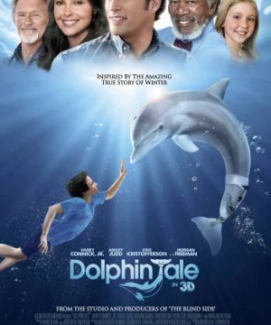 Câu Chuyện Cá Heo (Dolphin Tale) [2011]