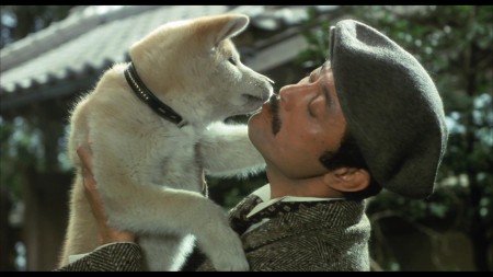 Câu Chuyện Về Chú Chó Hachiko