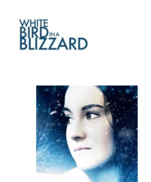 Chim Trắng Giữa Bão Tuyết (White Bird in a Blizzard) [2014]