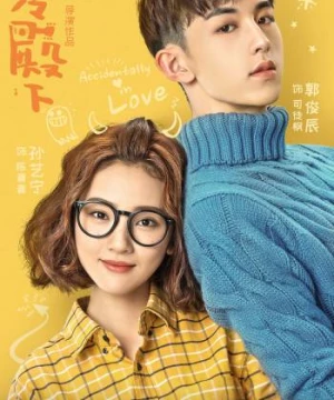 Chọc phải điện hạ lạnh lùng (Accidentally in Love) [2018]