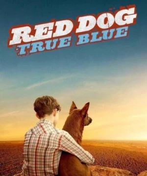 Chú Chó Trung Thành 2 (Red Dog: True Blue) [2016]