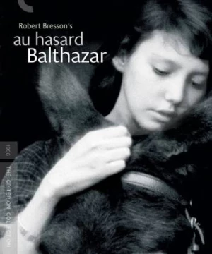 Chú Lừa Balthazar  (Au hasard Balthazar) [1966]