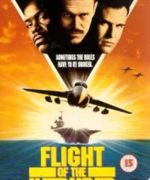 Chuyến bay của kẻ xâm nhập (Flight of the Intruder) [1991]