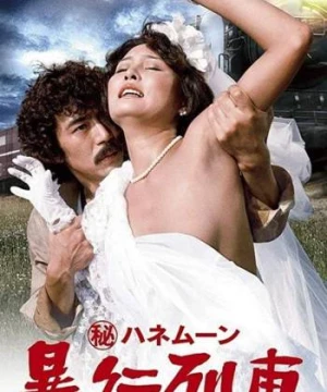 Chuyến tàu tuần trăng mật (Secret Honeymoon: Assault Train) [1977]