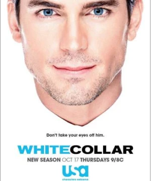 Cổ Cồn Trắng (Phần 5) (White Collar (Season 5)) [2013]