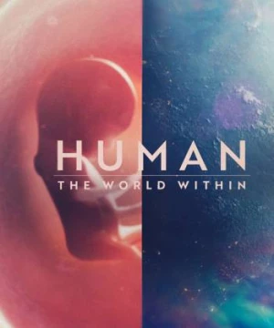 Con người: Thế giới bên trong cơ thể (Human: The World Within) [2021]