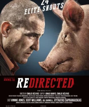 Cuộc Phiêu Lưu Bất Đắc Dĩ (Redirected) [2014]