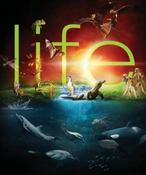 Cuộc Sống Hoang Dã (BBC: Life) [2009]