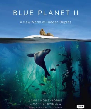 Đại Dương Sâu Thẳm 2 (The Blue Planet 2) [2015]