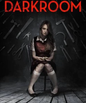 Darkroom (Darkroom) [2013]