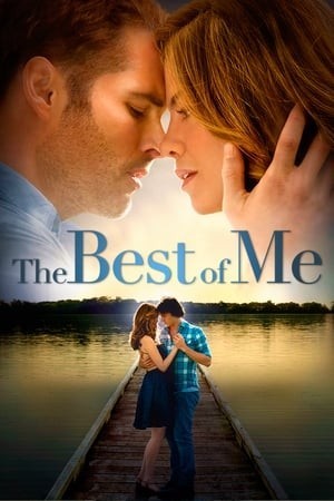 Điều Tuyệt Vời Nhất Với Anh (The Best of Me) [2014]