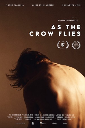 Đôi cánh tham vọng (As the Crow Flies) [2022]