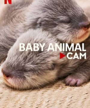 Động vật bé cưng trên camera (Baby Animal Cam) [2023]