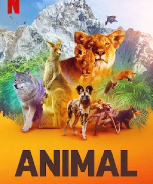 Động vật (Phần 1) (Animal (Season 1)) [2021]