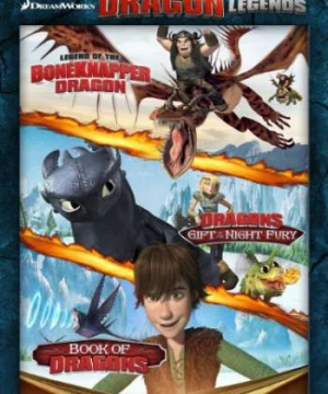 DreamWorks: Huyền thoại bí kíp luyện rồng (DreamWorks How to Train Your Dragon Legends) [2011]