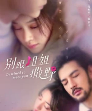 Đừng Nhờn Với Chị (Destined to Meet You) [2022]