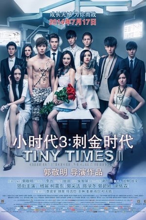 Tiểu Thời Đại 3.0 (Tiny Times 3.0) [2014]