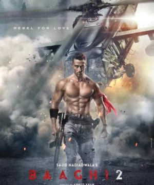 Giải Cứu Người Đẹp 2 (Baaghi 2) [2018]