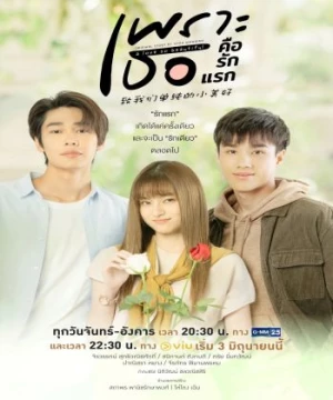 Gửi Thời Thanh Xuân Ngây Thơ Tươi Đẹp (Bản Thái) (A Love So Beautiful (Thailand)) [2024]