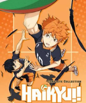 Haikyu - Chàng khổng lồ tí hon (Phần 1) (Haikyu!! (Season 1)) [2015]