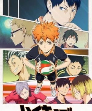 Haikyuu!! Second Season (Haikyu!! 2nd Season) [2015]