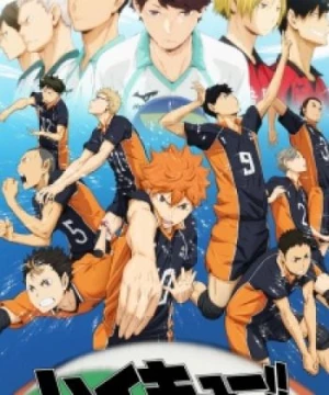 Haikyuu!! (Haikyu!!) [2014]