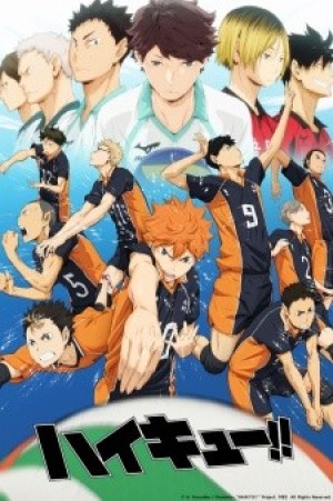 Haikyuu!! (Haikyu!!) [2014]