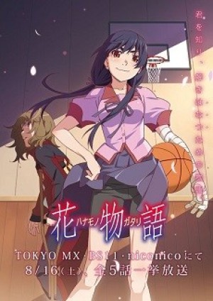 Hanamonogatari (Monogatari Series: Second Season +α) [2014]