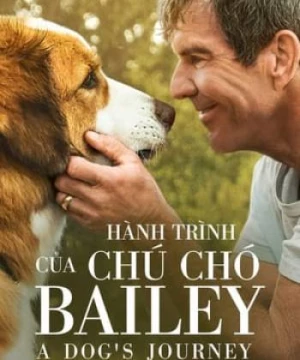 Hành Trình Của Chú Chó Bailey (A Dog's Journey) [2019]